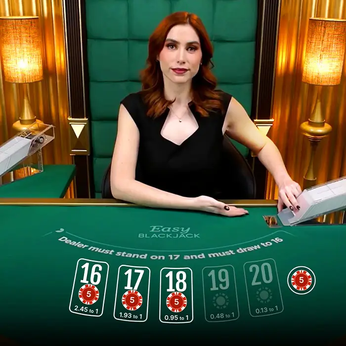 online blackjack guide